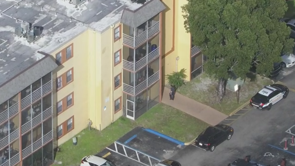 10-year-old girl hospitalized after 8-year-old brother throws knife and hits chest, Lauderhill police say — CBS Miami, Key Biscayne Health news