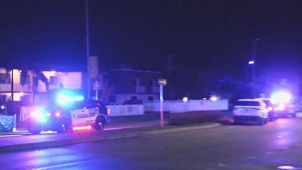 Woman accused of killing man in Dania Beach hit-and-run, BSO says — CBS Miami, Key Biscayne Community news