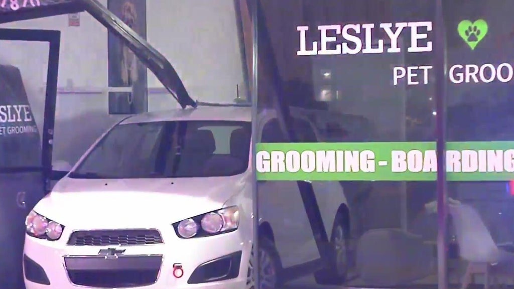 Car crashes into Doral pet grooming shop; no one hurt — CBS Miami, Key Biscayne Business news