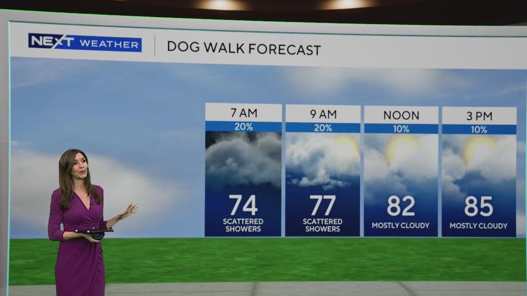 South Florida sees some showers Tuesday, but rain chances rise by end of week — CBS Miami, Key Biscayne Community news
