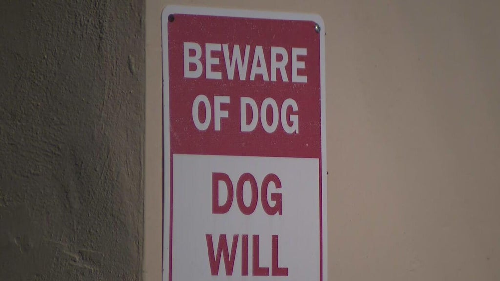 Dog on the loose after attacking a child in northwest Miami-Dade, deputies said — CBS Miami, Key Biscayne Health news