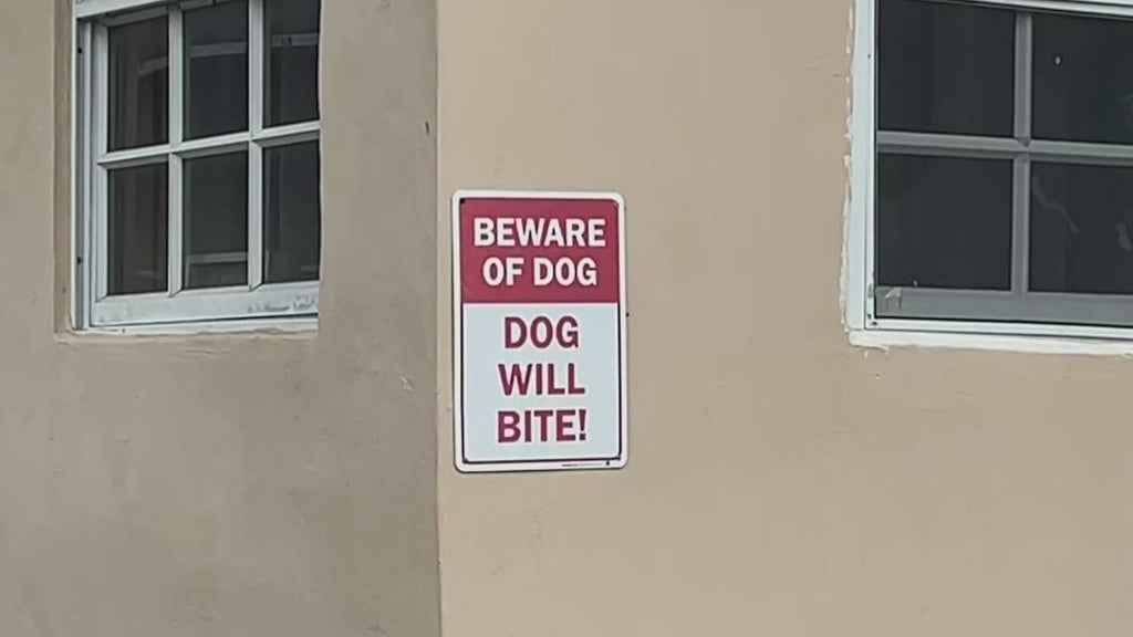 Dog who bit girl in northwest Miami-Dade taken into Animal Services custody — CBS Miami, Key Biscayne Community news