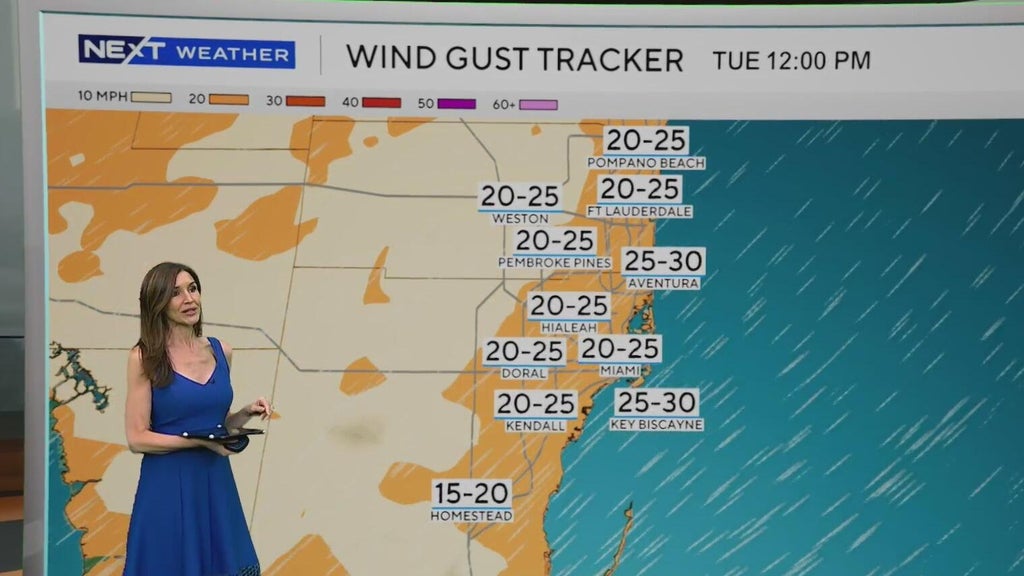 Windy, drier week ahead of taste of fall South Florida style — CBS Miami, Key Biscayne Community news