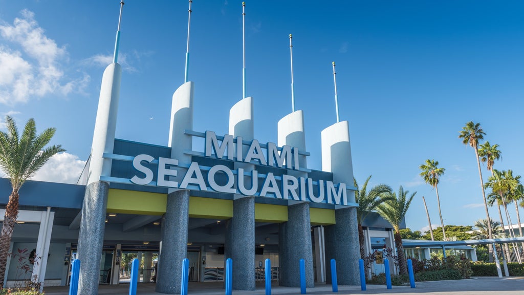 2 Miami-Dade residents sue to require countywide vote on Miami Seaquarium marina development plan — CBS Miami, Key Biscayne Real Estate news