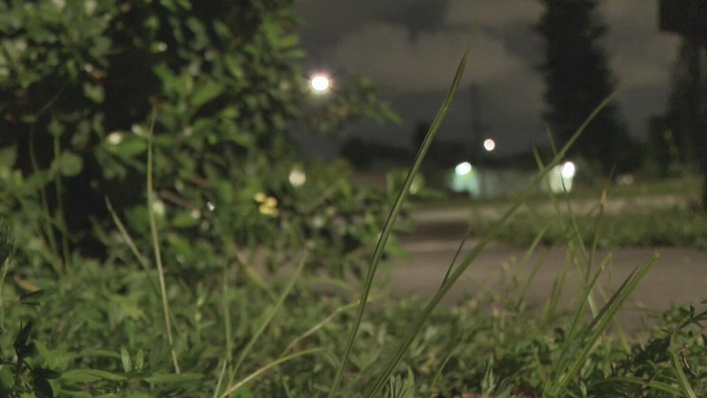 Broward mother says she went months without update after reporting man outside her window — CBS Miami, Key Biscayne Real Estate news