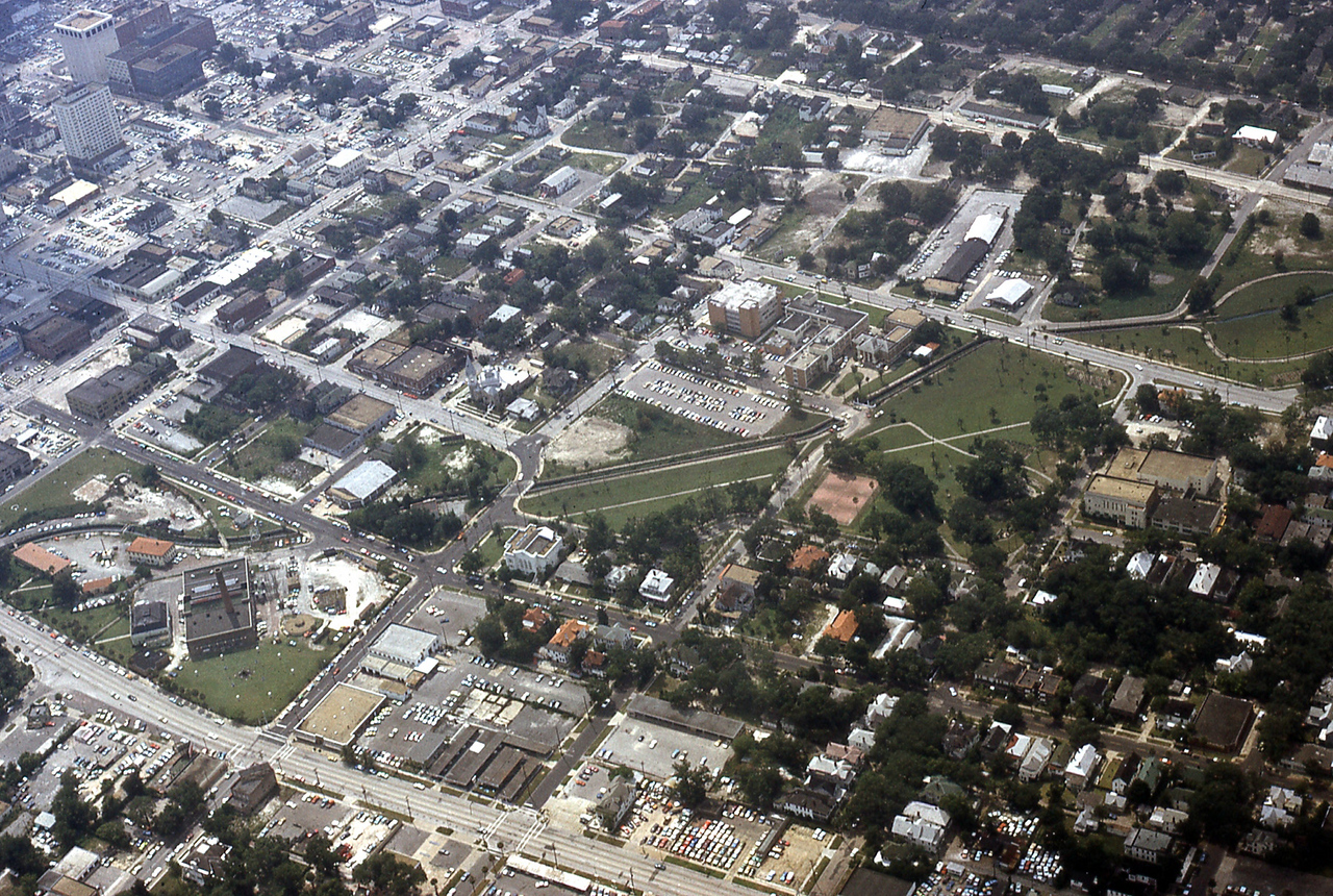 THE JAXSON | The oak tree that remembers Black Bottom — Jacksonville Today, Key Biscayne Schools news