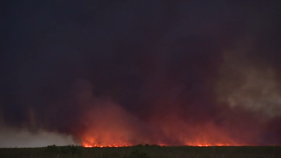 Fire crews battle grass fire in SW Miami-Dade; no structures threatened — WSVN 7 Miami-Dade