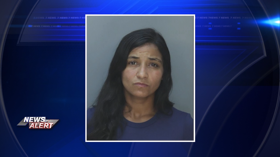 North Bay Village Police officer arrested on domestic violence charges, sources say — WSVN 7 Miami-Dade