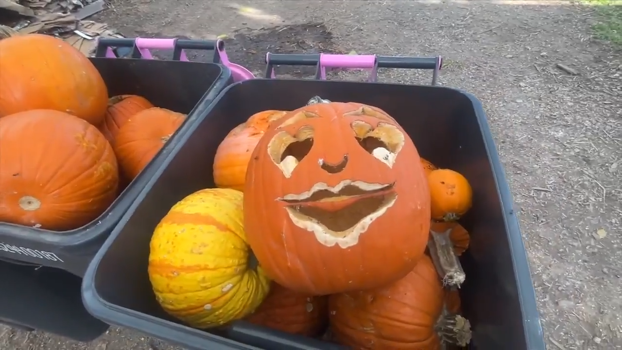 M-DCPS partnering with Fertile Earth for 2nd Annual Pumpkin Smash — WSVN 7 Miami-Dade, Key Biscayne Schools news