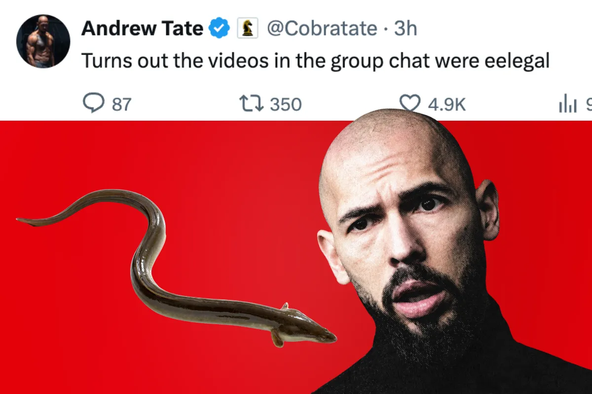 Andrew Tate is having an eel of a time with his animal porn allegations — Miami New Times, Key Biscayne Dining news