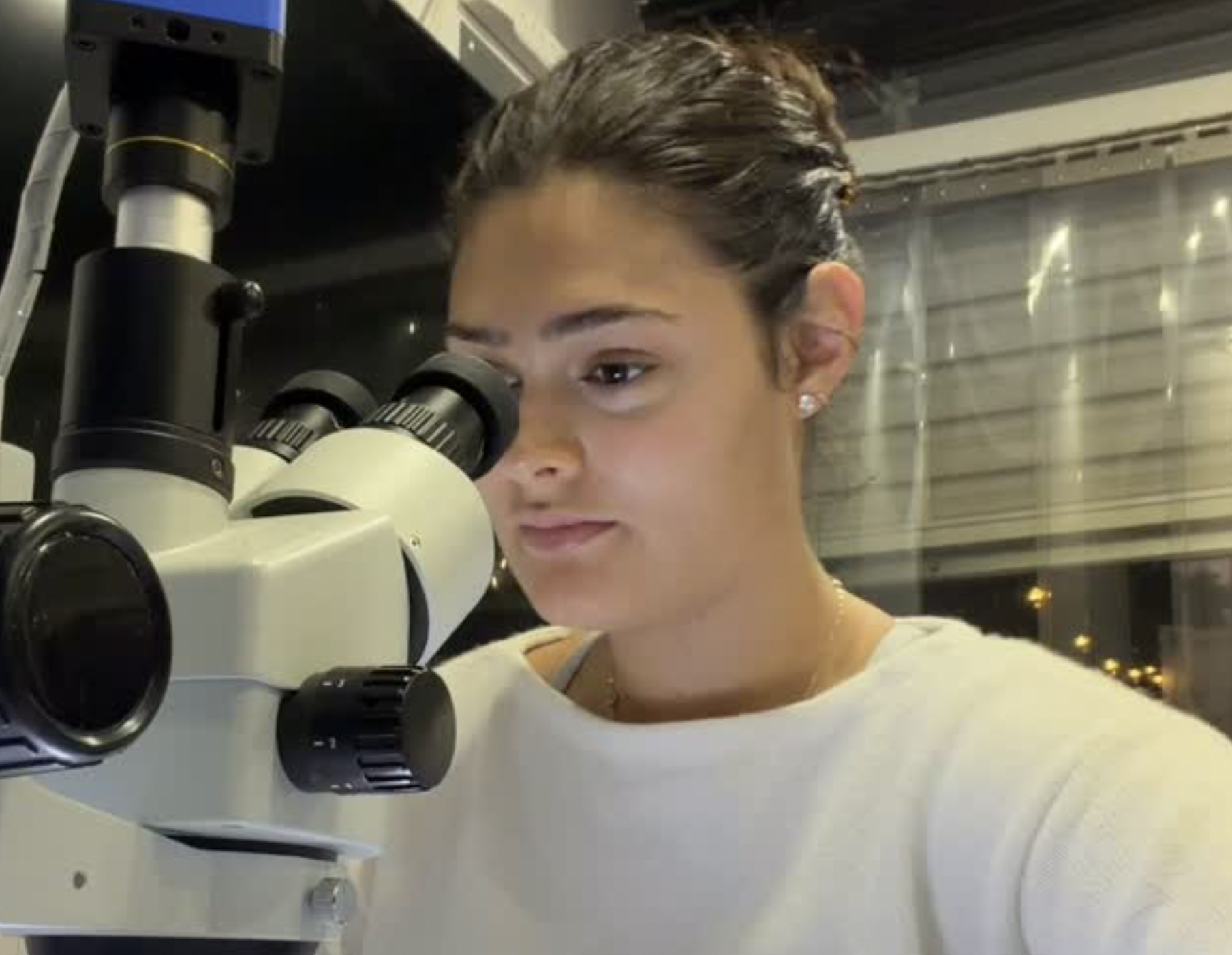 17-year-old Miami scientist grows tomatoes that taste like burgers — Miami New Times, Key Biscayne Dining news