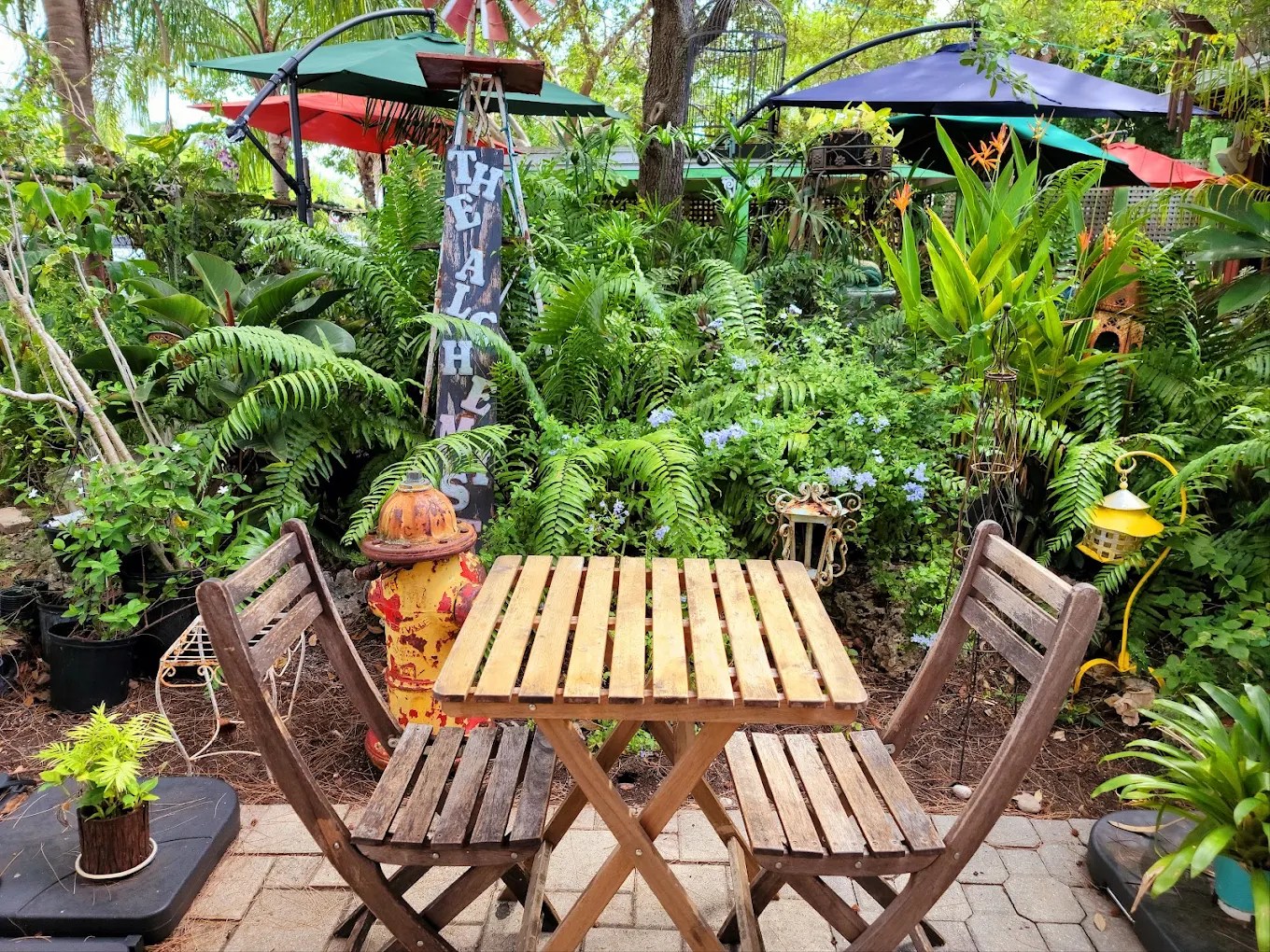 Cherished Wilton Manors garden café forced out for apartment complex — Miami New Times